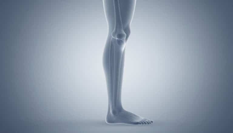 Jambe vue de derrière avec la zone du tendon derrière le genou mise en évidence.